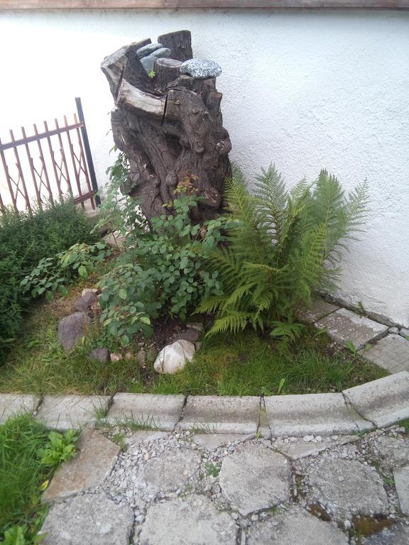 Guest House Ahp Mala Tsŭrkva 外观 照片