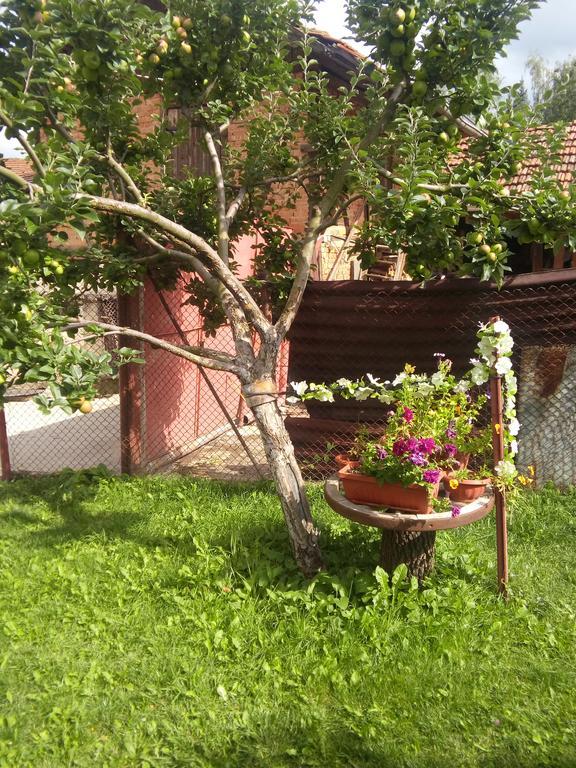 Guest House Ahp Mala Tsŭrkva 外观 照片